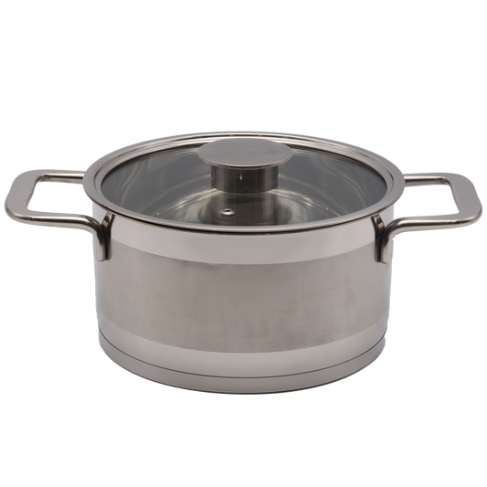 Stainless steel pot with lid on a white background
