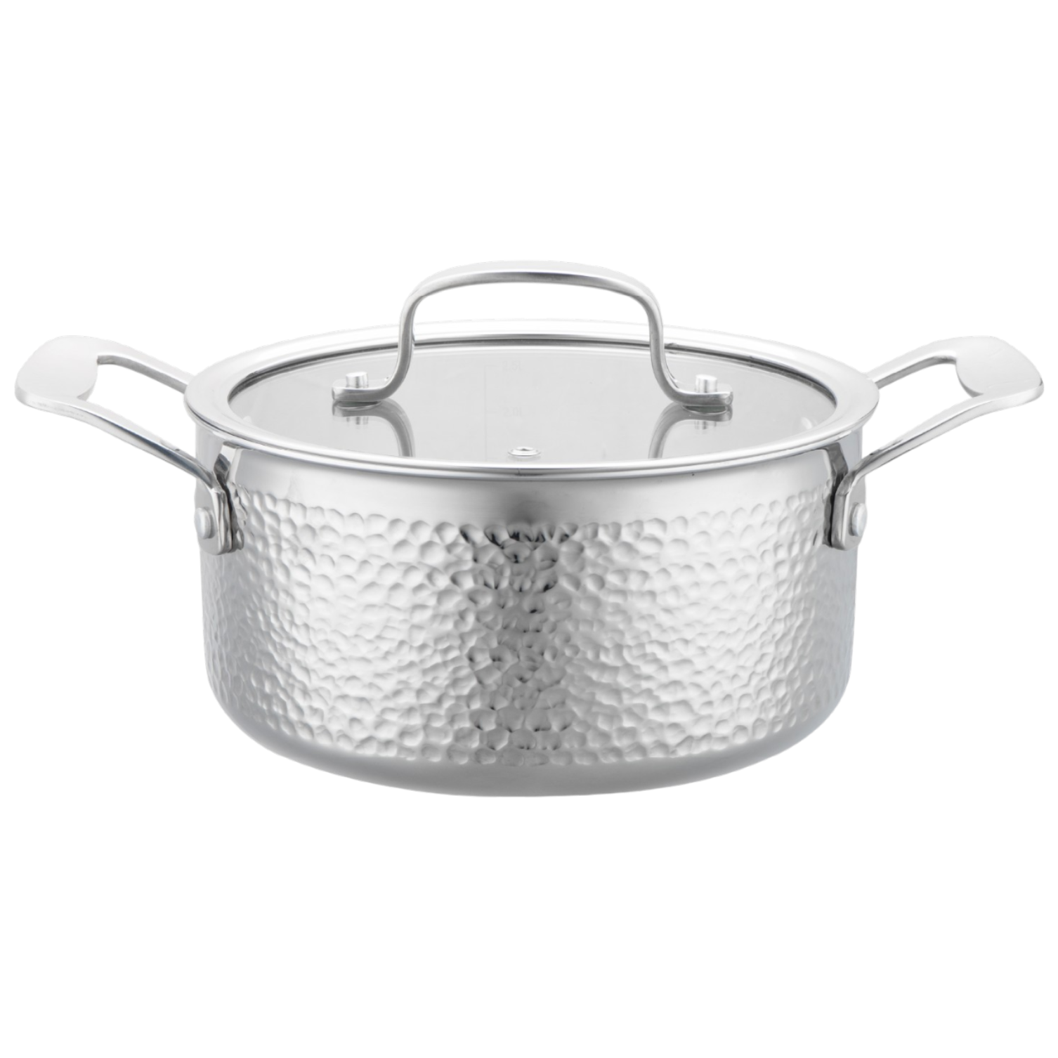 Stainless steel pot with a lid on a white background